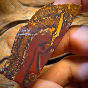 🔨 AUCTION 🔨 257.2cts - Tribal Yowah Nut Picture Stone Opal Rough Piece