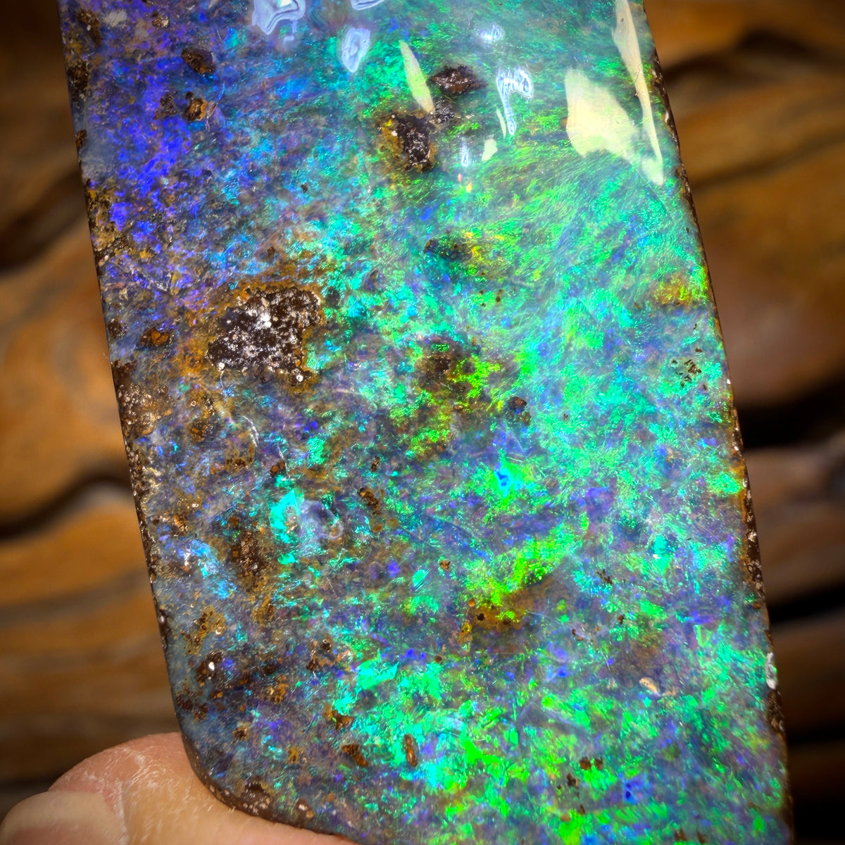 129.9cts - BIG Reef Collection No.1 Queensland Boulder Seam Opal