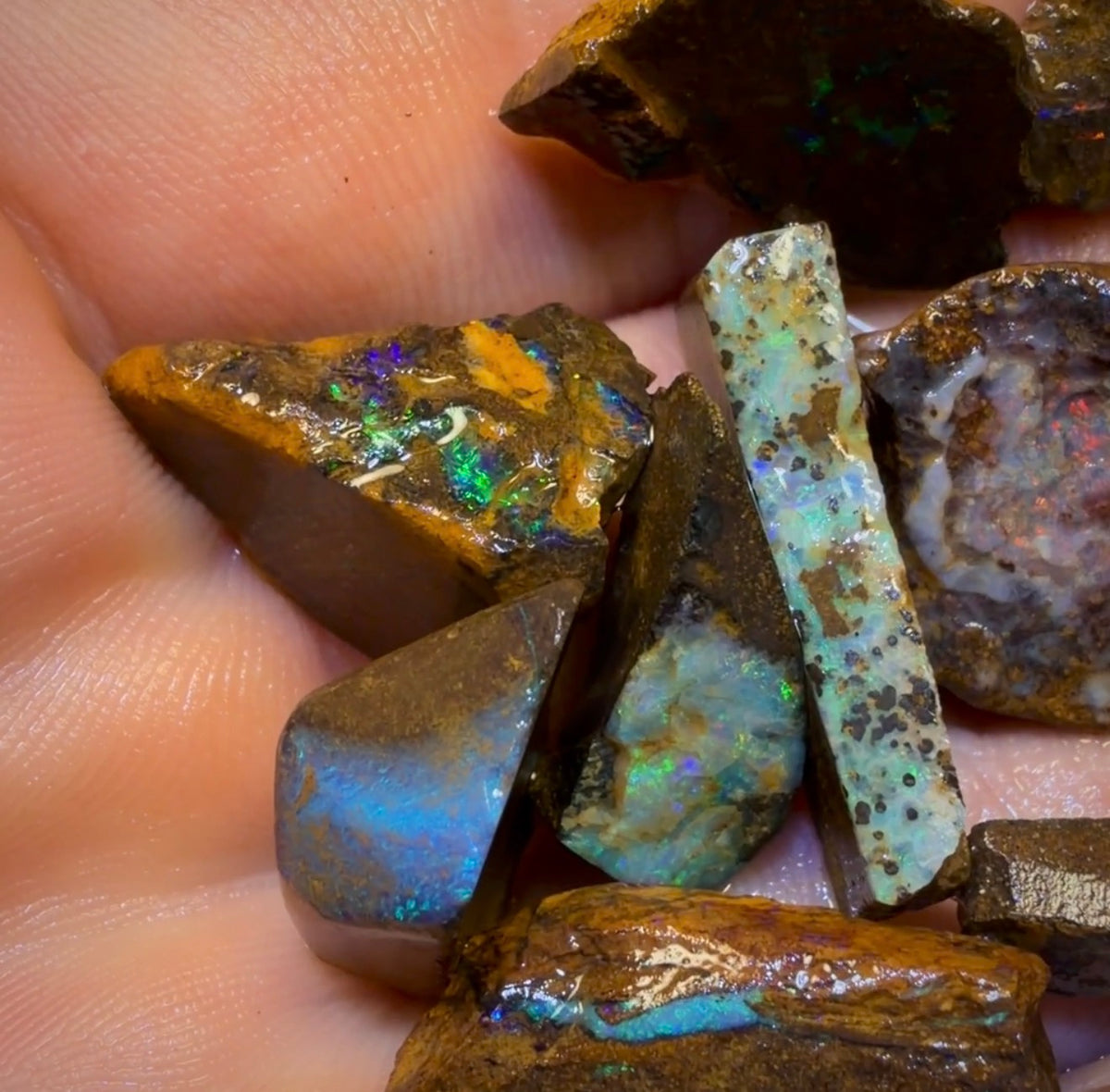🔒107.8cts - 11x Australian Boulder Opal Rough Parcel