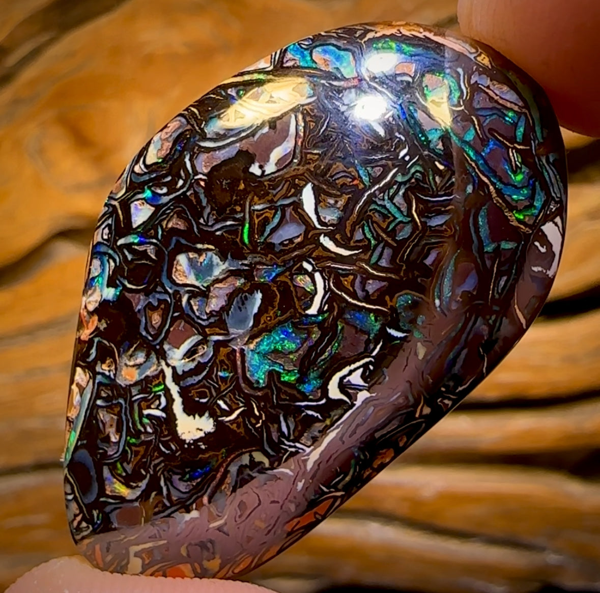 92.4cts - Top Tribal Koroit Nut Opal. Australian Opal