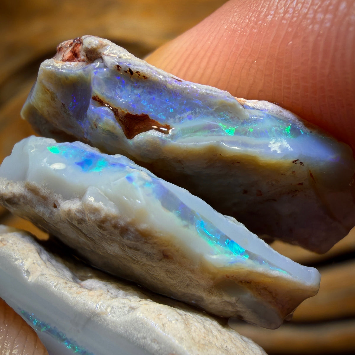 46.1cts - 3x Lightning Ridge Opal Rough Parcel