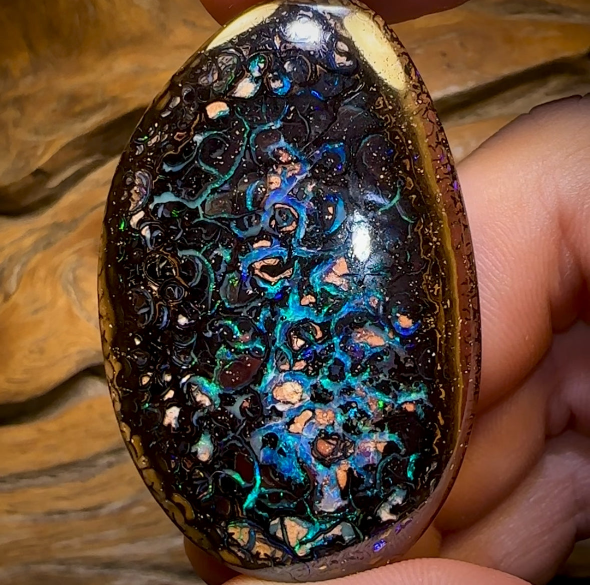 171.4cts - ‘Outback Oasis 2’ Top GEM Tribal Queensland Boulder Opal