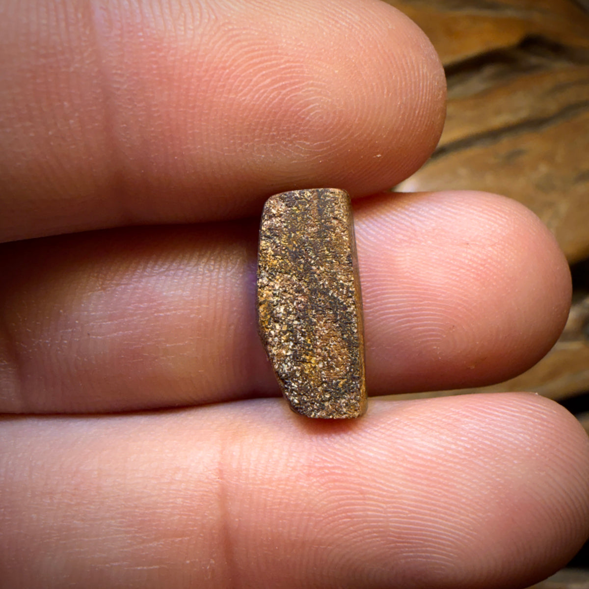 5.5cts - Queensland Boulder Seam Opal