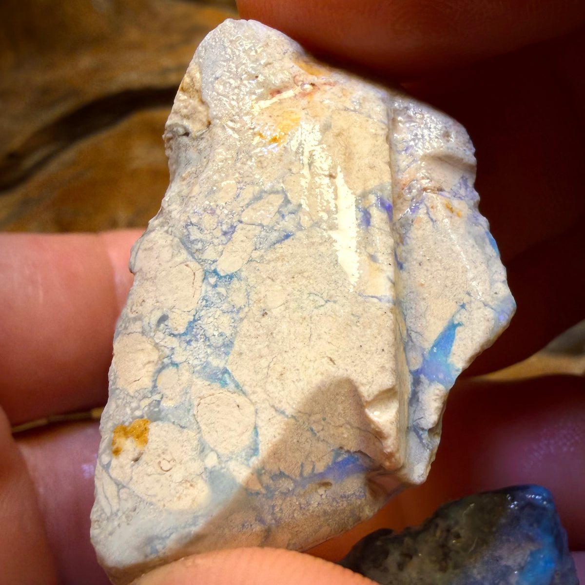 145.3cts - 3x Lightning Ridge Opal Rough Parcel