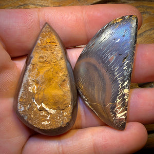 Aren’t you glad you waited wild card! 230.6cts - Top Tribal AO Style Queensland Boulder Opal Matching Pair