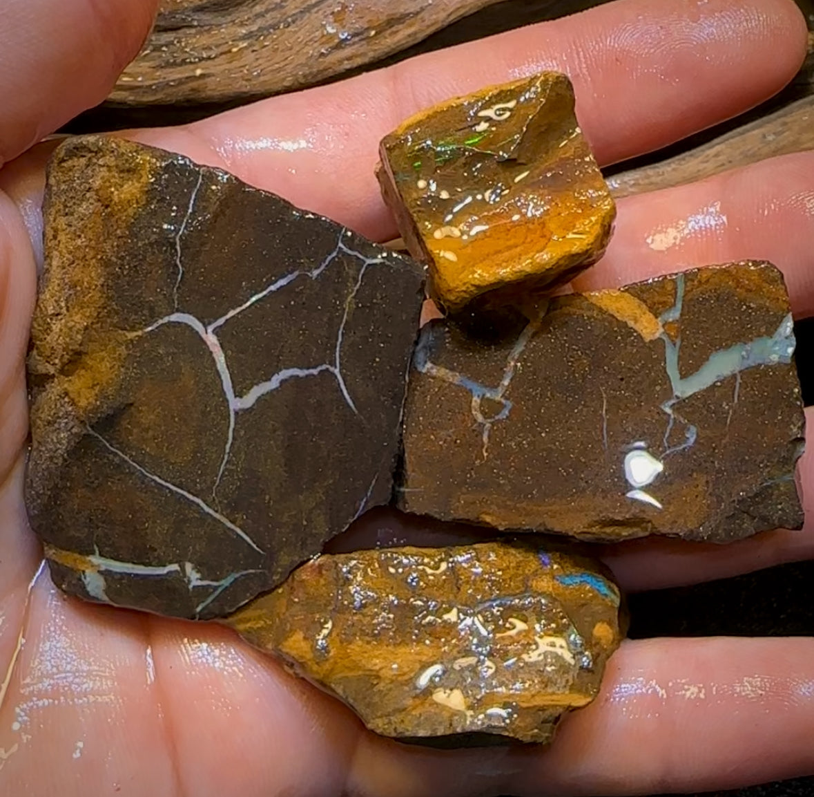 769cts - 4x Queensland Boulder Opal Rough Parcel from Winton