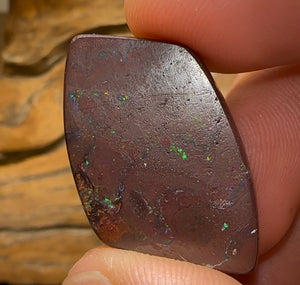 36.3cts - Queensland Boulder Opal from Koroit - Opal Whisperers