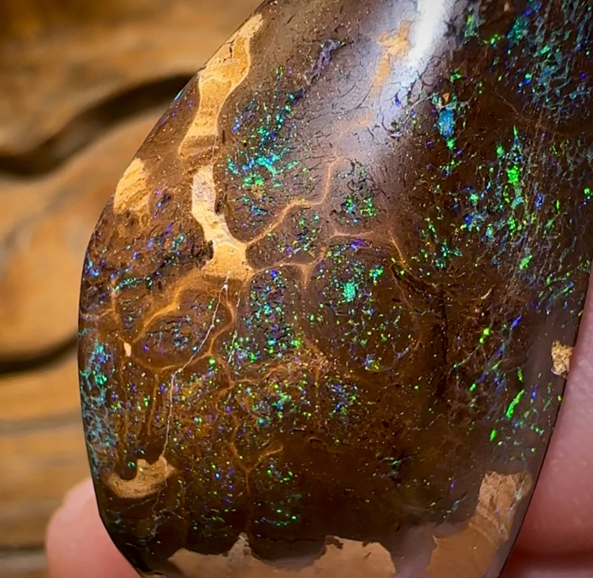 59.5cts - Double Sided Boulder Opal Specimen. Bubble Band - Opal Whisperers