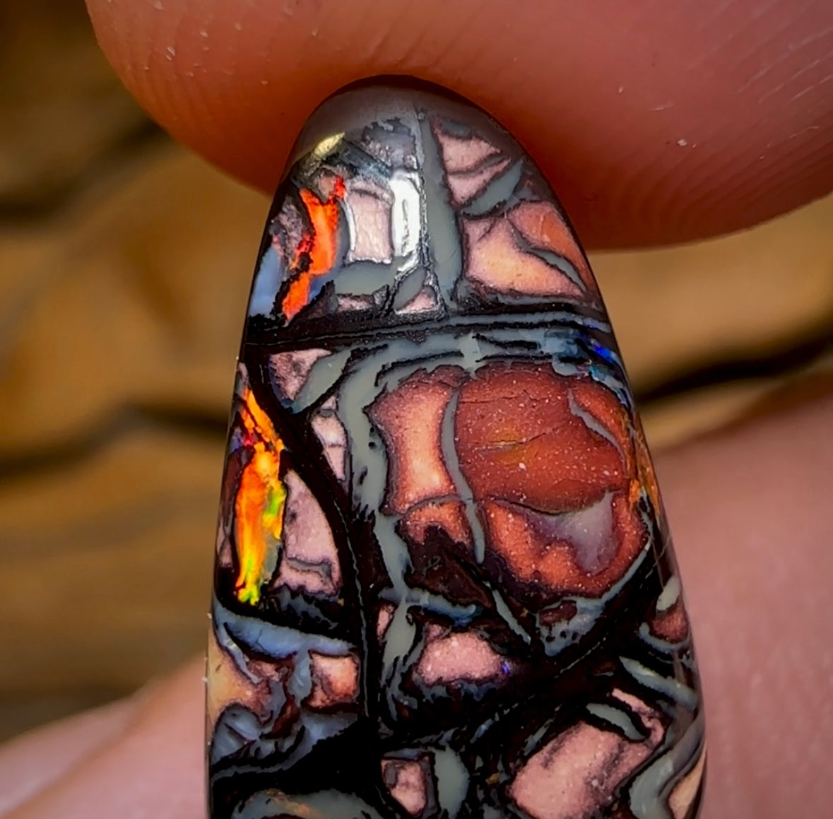 13.3cts - Tribal Koroit Nut Opal. Queensland Boulder Opal “Art of Opal” Quality - Opal Whisperers