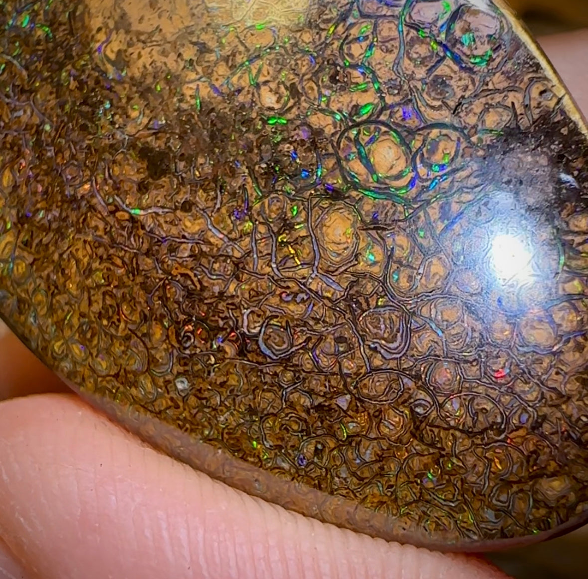 145.5cts - Large Queensland Boulder Opal. Yowah Tribal - Opal Whisperers