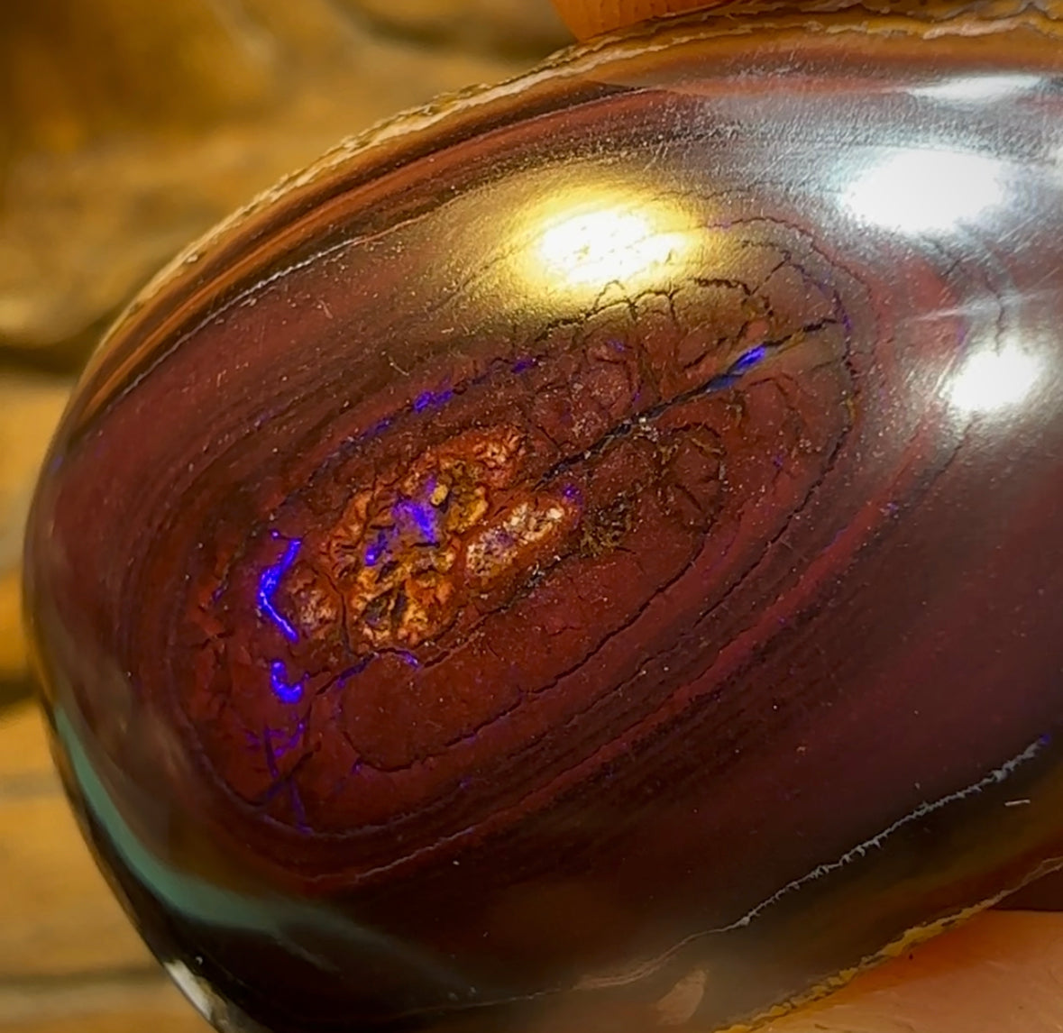 197cts - Yowah Nut Opal Polished Specimen - Opal Whisperers