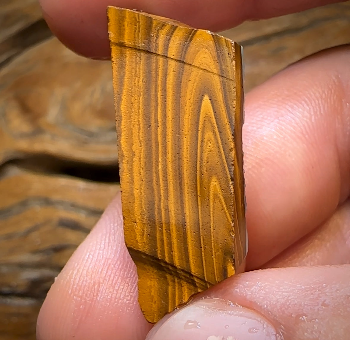 25.1cts - Queensland Boulder Opal Preform Rub