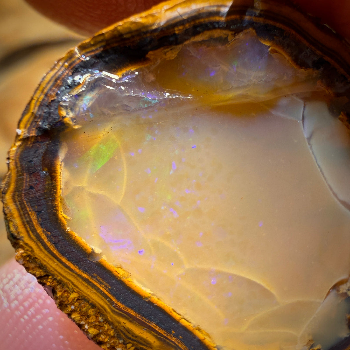 Awesome 🔨 AUCTION 🔨 Action  29.7cts - Yowah Nut Crystal Centre Opal Rough Half