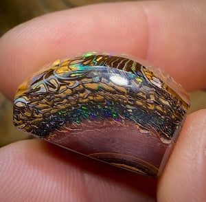 58cts - Yowah Nut Opal Polished Specimen. Tribal Pattern