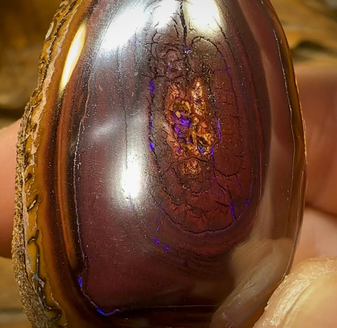 197cts - Yowah Nut Opal Polished Specimen - Opal Whisperers