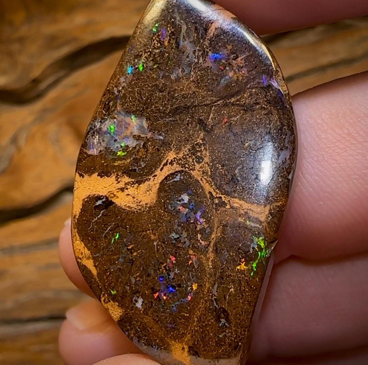 61.3cts - Electric Bubble Band Opal from Winton - Opal Whisperers