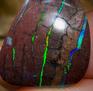 15.1cts - Australian Boulder Opal - Opal Whisperers