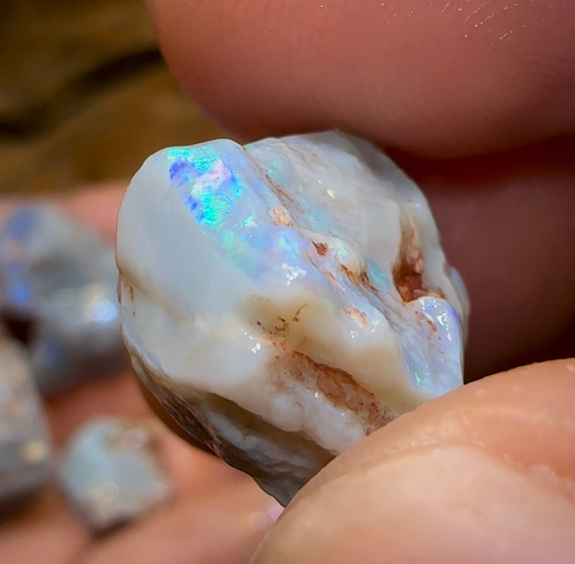 (Template) 114.2cts - 9x Lightning Ridge Dark Opal Rough Parcel - Opal Whisperers