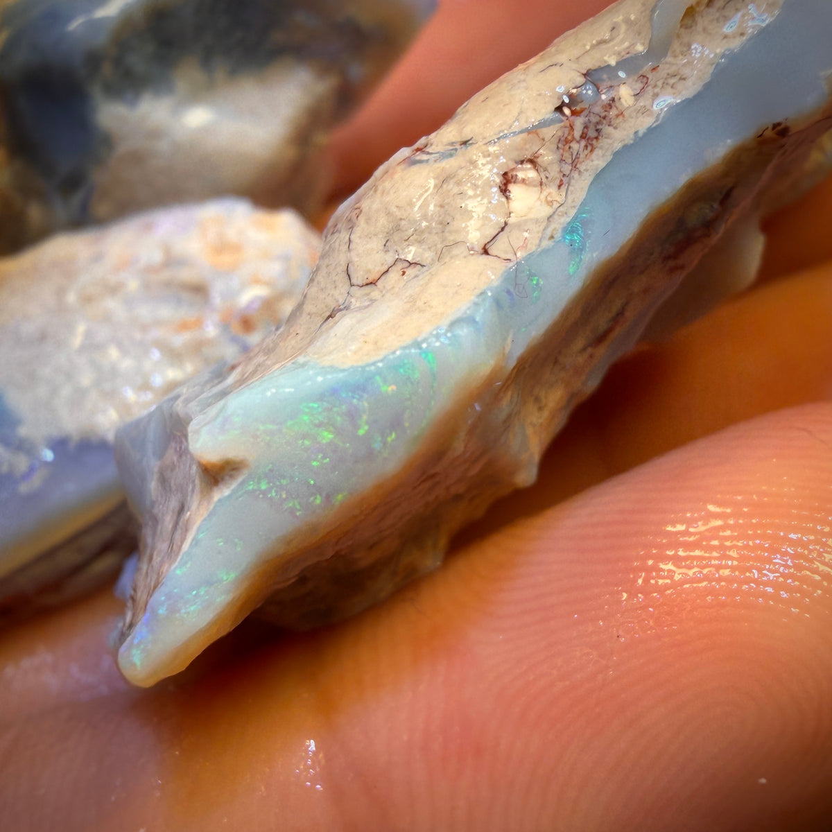 🔒149,5 carats - Lot de 3 opalines brutes de Lightning Ridge