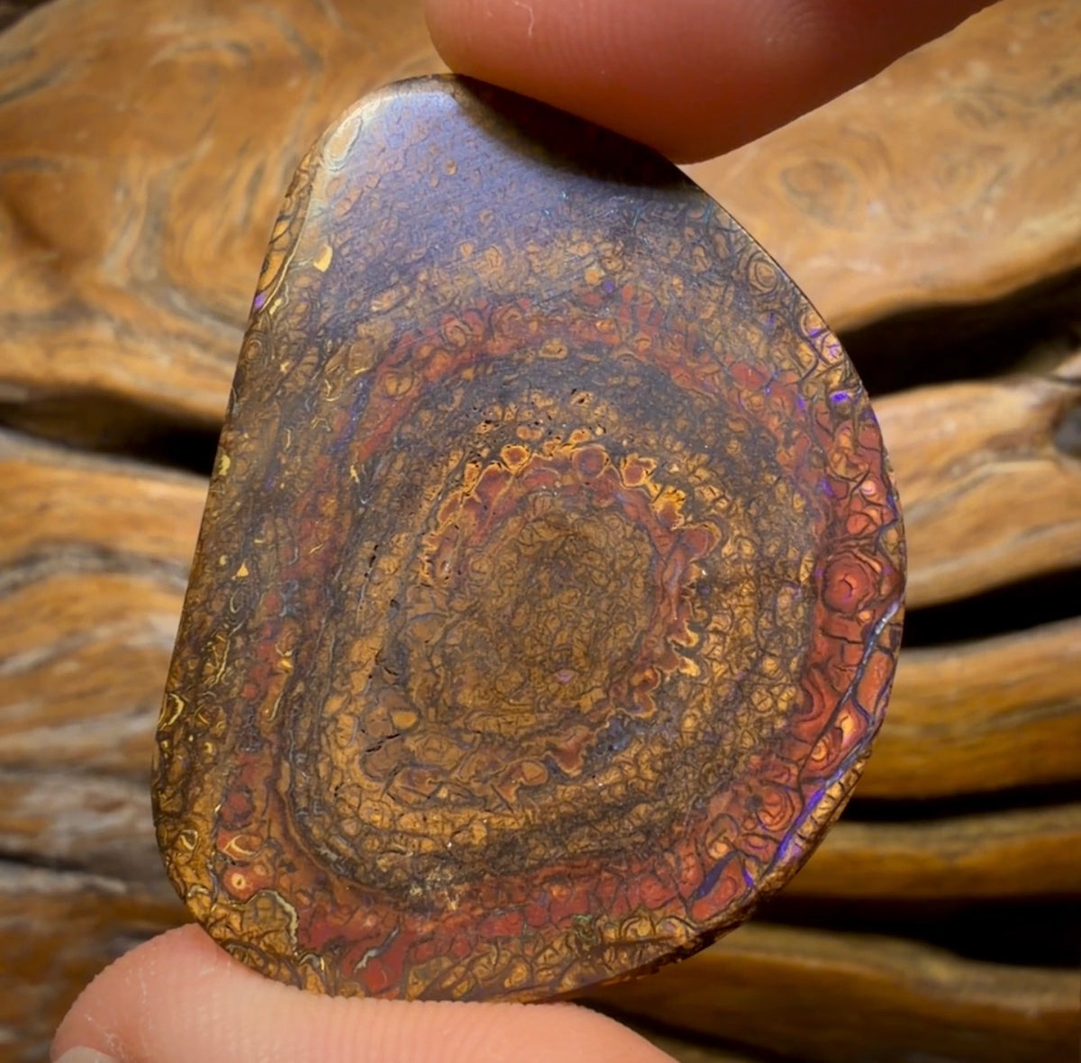 69,9 ct – Tribal Yowah Nut Opal. Australischer Opal.