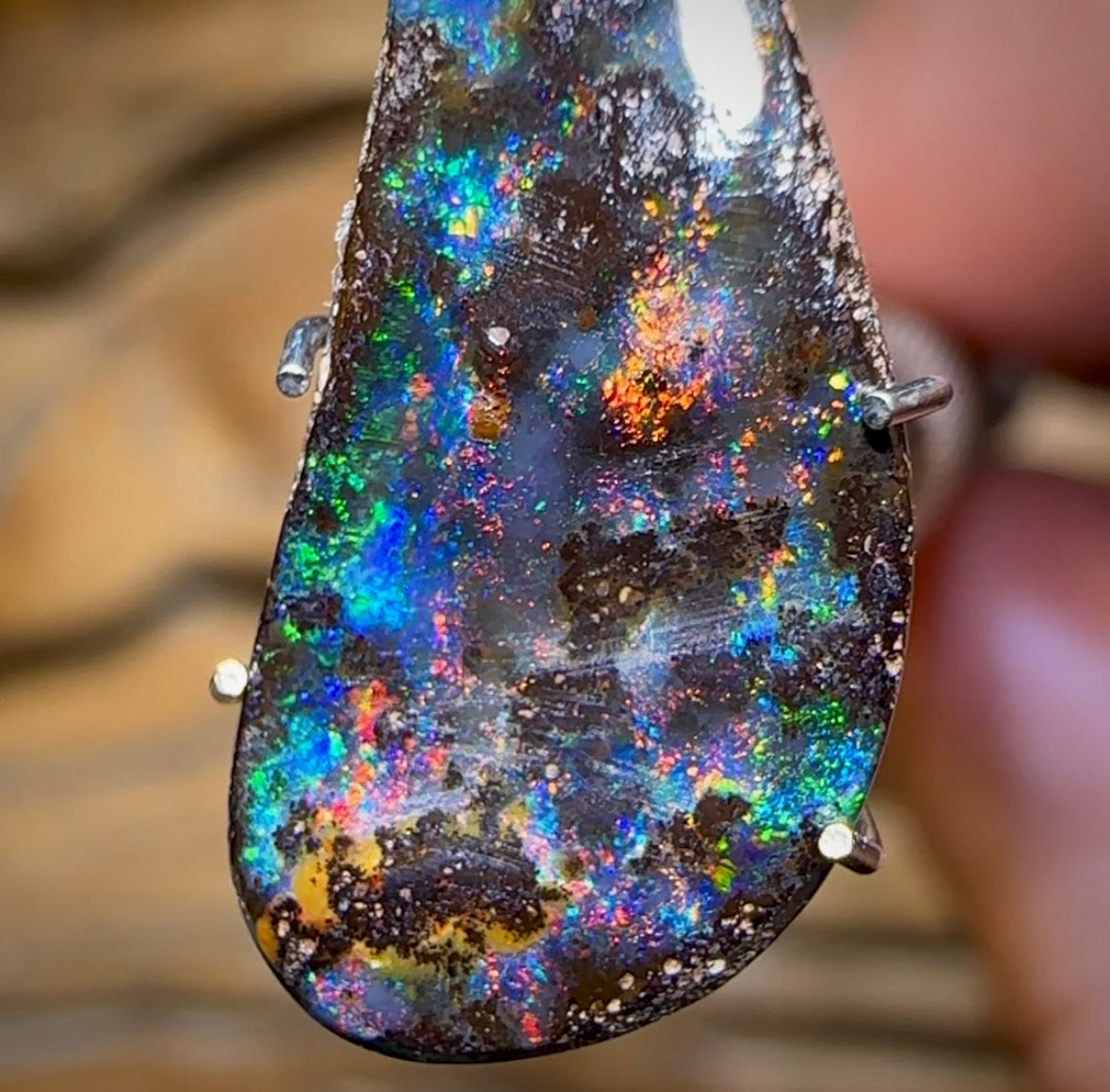 3.7cts - Queensland Boulder Black Opal from Winton - Opal Whisperers