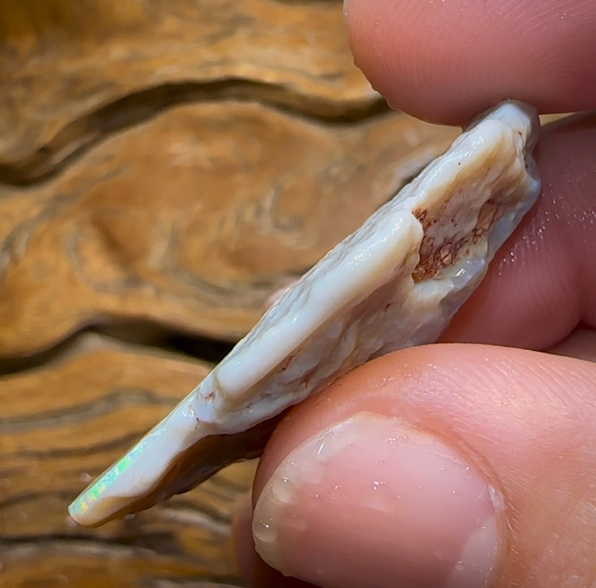 47.5cts - Dark Opal Rough Piece from Lightning Ridge. - Opal Whisperers