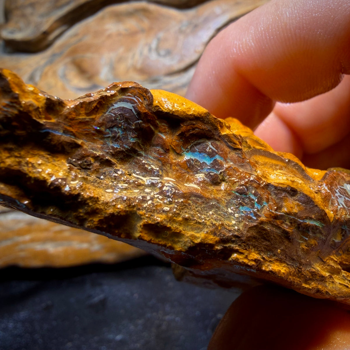 Dad Card! 1110cts - Large Queensland Boulder Opal Rough Piece. Bubble Band