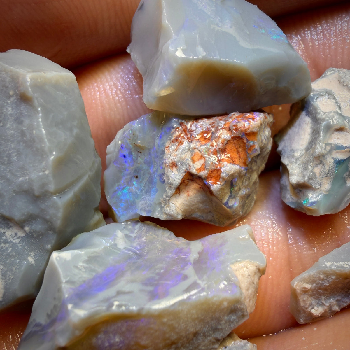 59.4cts - 4x Lightning Ridge Opal Rough Parcel