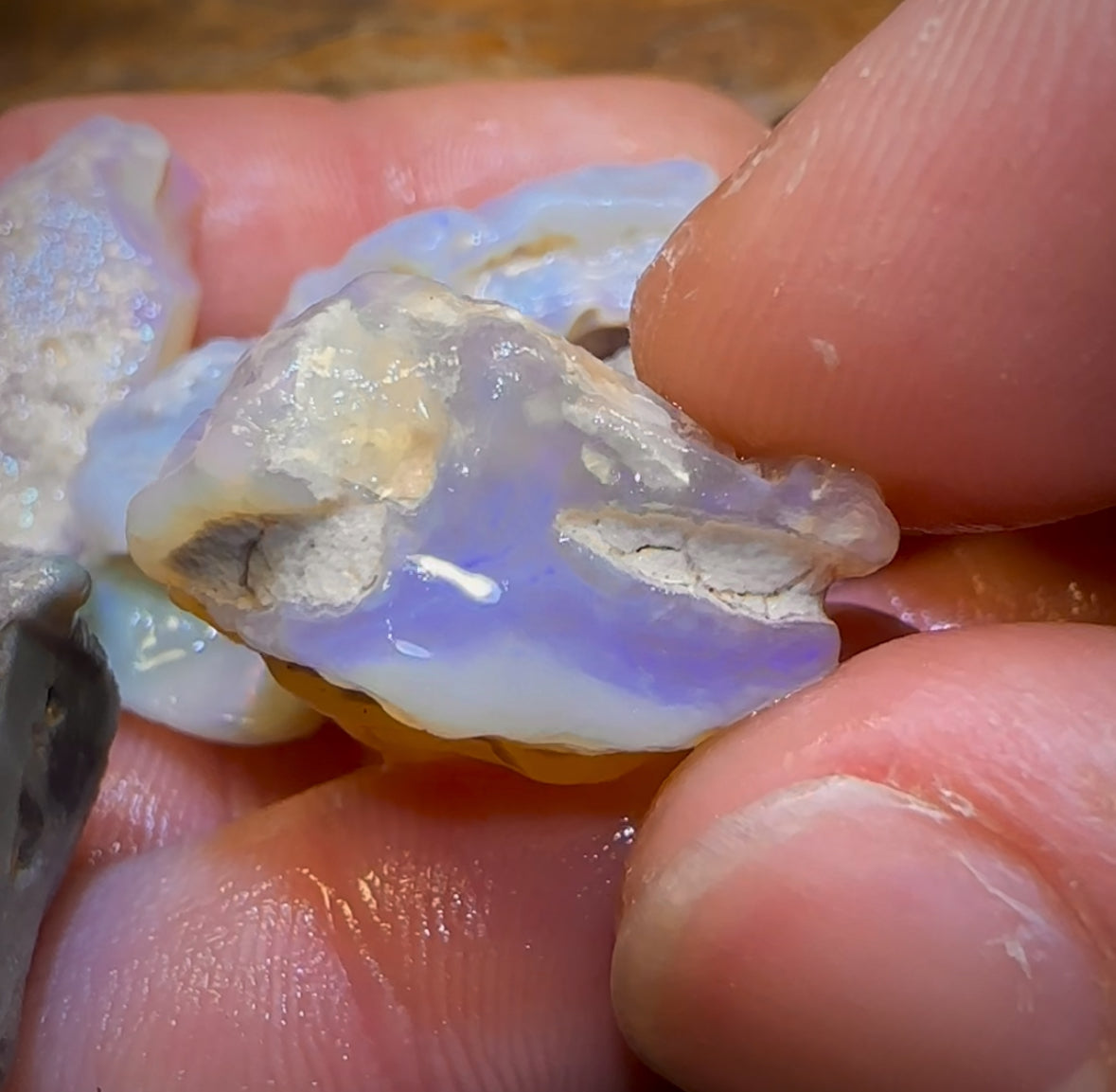 🔒201.2cts - 12x Lightning Ridge Opal Rough Parcel. Serious Cutters!