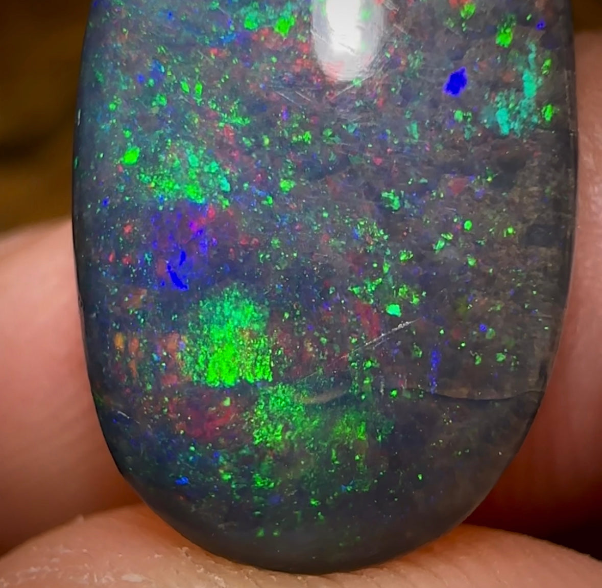 13.4cts - TOP Queensland Black Boulder Seam Opal. GEM QUALITY - Opal Whisperers
