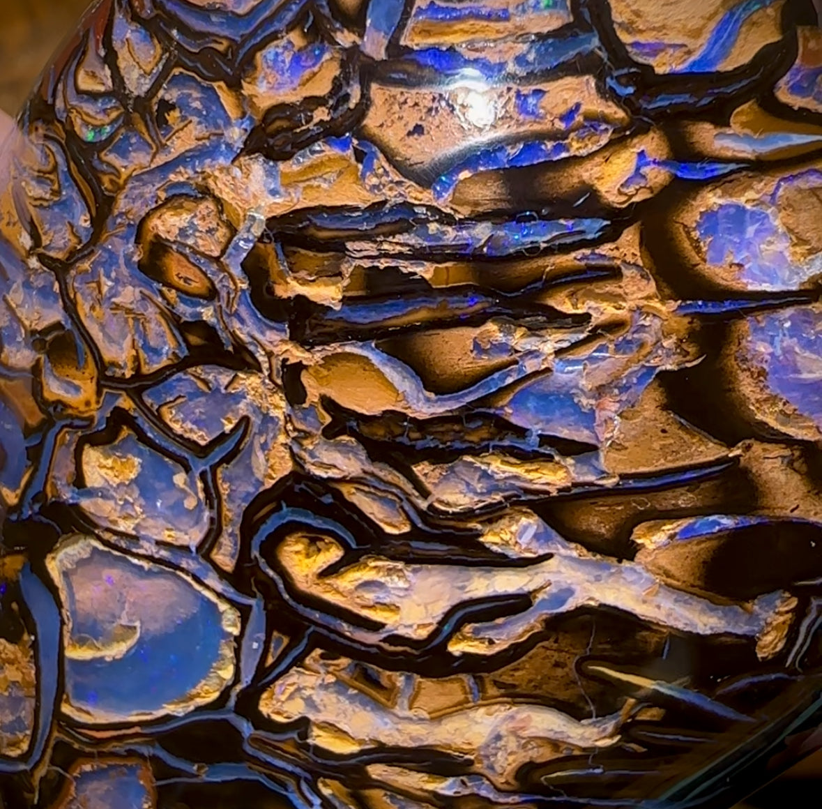 1157cts - Polished Tribal Yowah Nut Opal Specimen. Heritage Collection