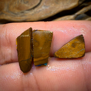 9.5cts - 3x Yowah Nut Opal Rough Preform’s