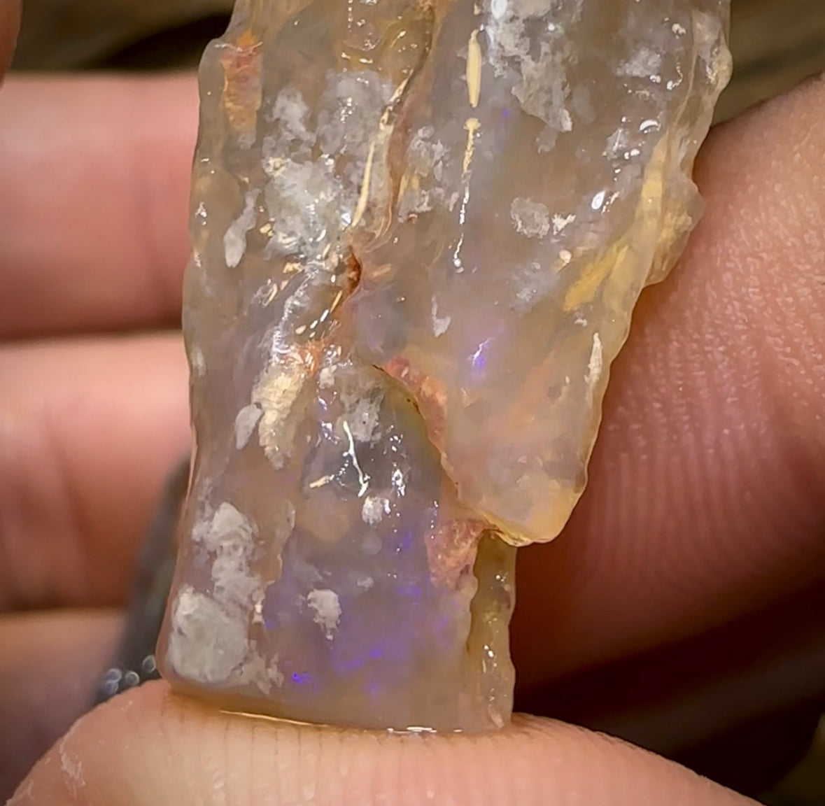 47.9cts - 2x Lightning Ridge Crystal and Dark Opal Fossil Rough Pieces - Opal Whisperers