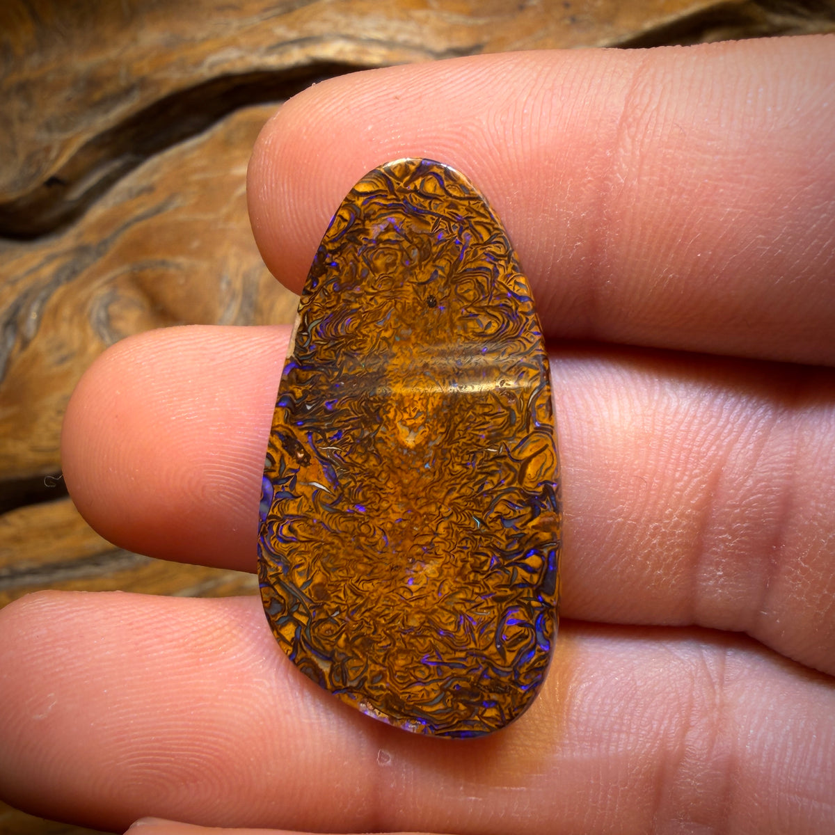 31.8cts - Tribal Queensland Boulder Opal from Yowah