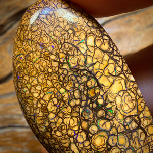 (AO) 107.6cts - Large Tan Tribal Queensland Boulder Opal from Yowah