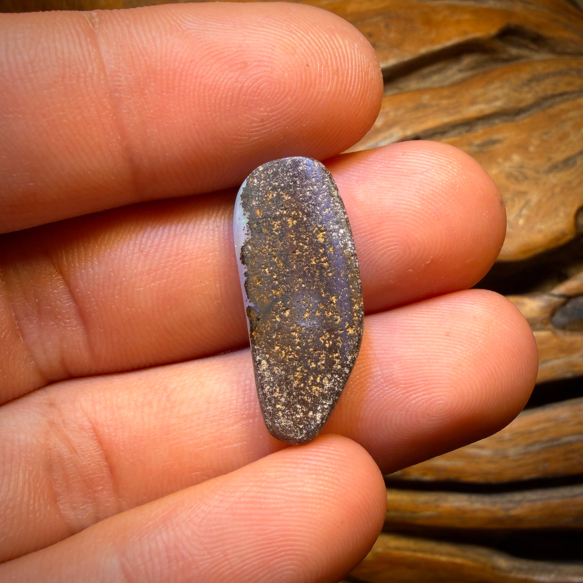 Bargain Card! 12.9cts - Queensland Boulder Seam Opal