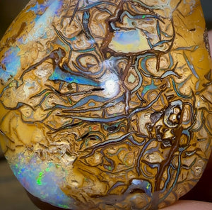 28.8cts - Yowah Nut Opal. Tan, Yellow Tribal with Crystal edges.