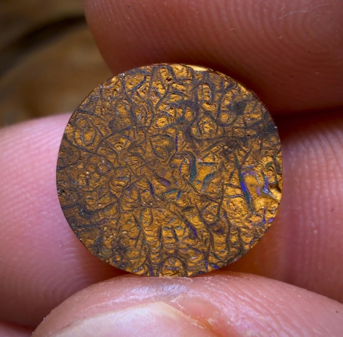 8.4cts - Tan Tribal Yowah Nut Opal. Red Multicolours!