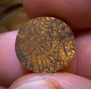 8.4cts - Tan Tribal Yowah Nut Opal. Red Multicolours!