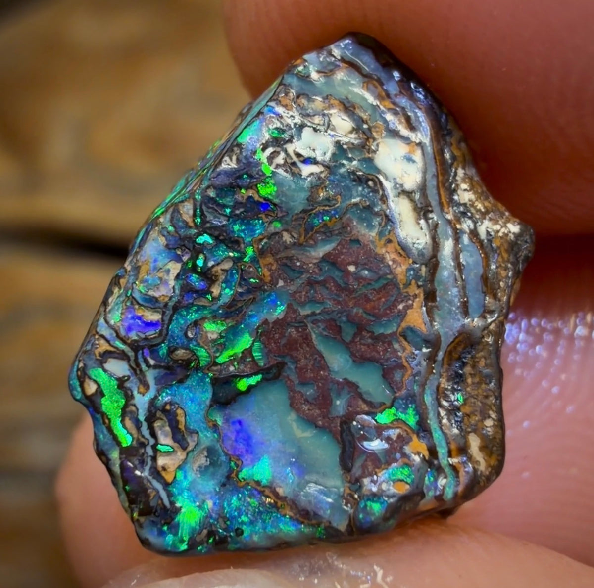 Opale brute Yowah Nut de 9,1 ct - Magnifique ! Tailleur de pierres pour bagues !