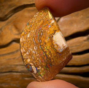 40.6cts - Tribal “Boulder Blonde” Opal. Double Sided