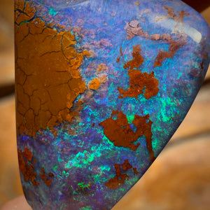 🔨 AUCTION 🔨 29cts - Australian Boulder Opal from Yowah