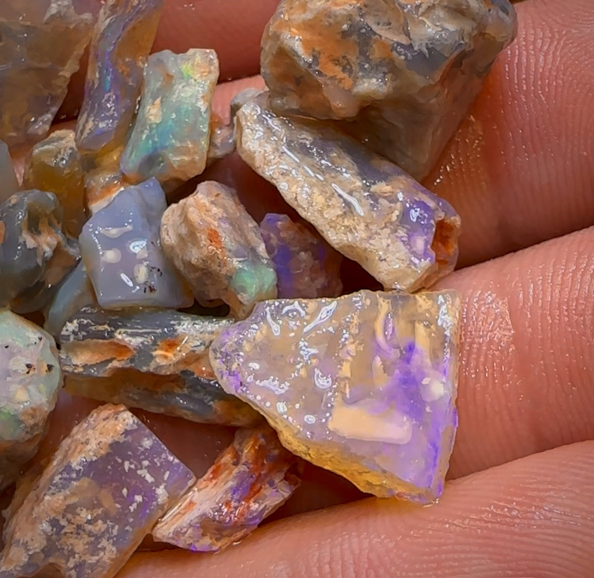 80.1cts - 24x Opalised Fossil Geological Specimens from Lightning Ridge