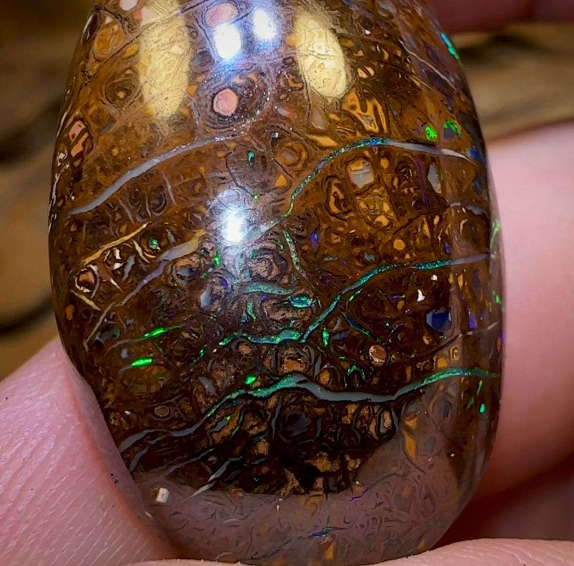 49.5cts - Queensland Boulder Opal. Yowah Tribal - Opal Whisperers