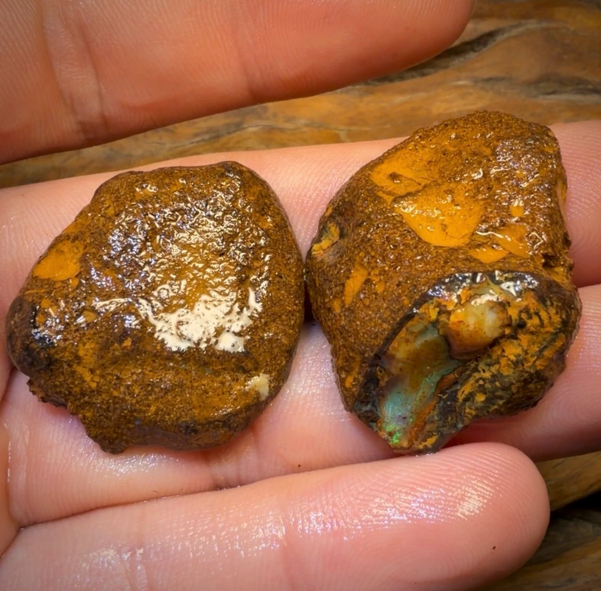TGIF 88.6cts - Yowah Nut Partial Crystal Centre Rough Specimen Pair