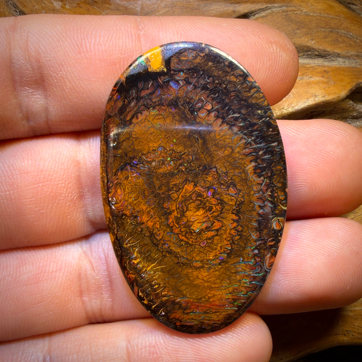 63.1cts - Tribal Queensland Boulder Opal from Yowah