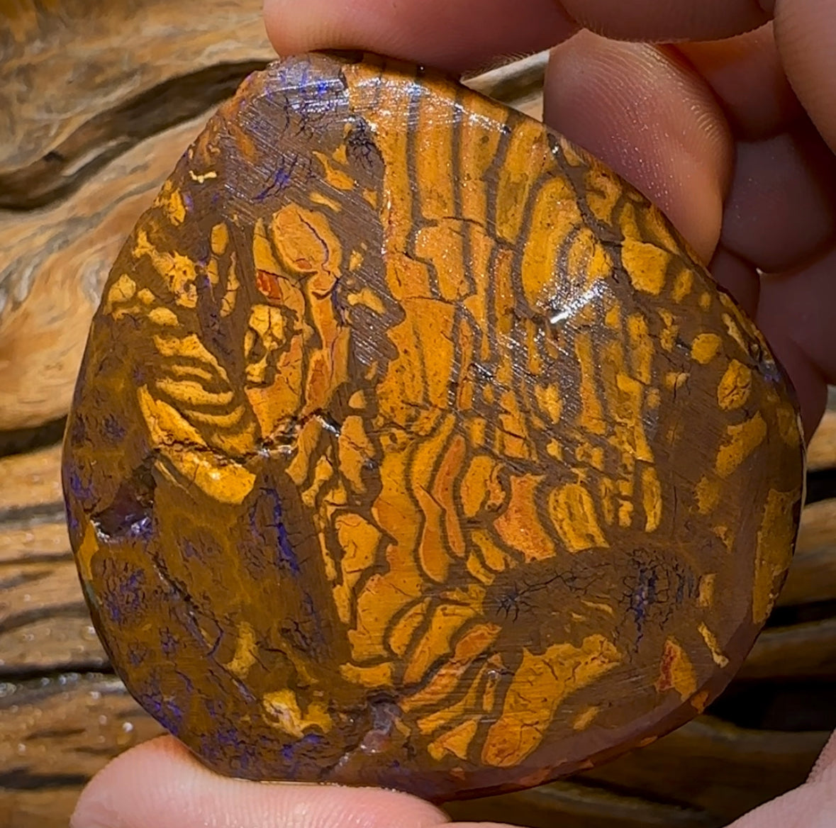 513.3cts - Large Yowah Boulder Opal Rough Preform - Opal Whisperers