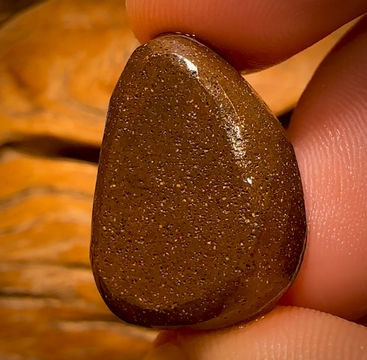 🔨 AUCTION 🔨 53.9cts - Queensland Boulder Seam Opal Rub