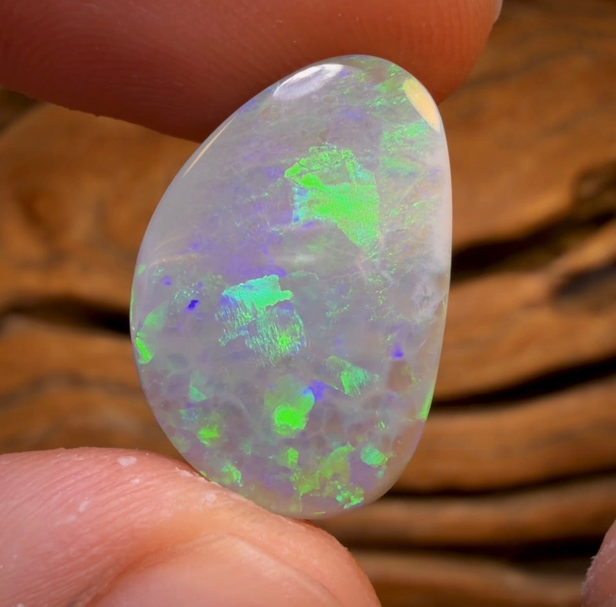 26.1cts - Lightning Ridge Dark Opal PAIR!