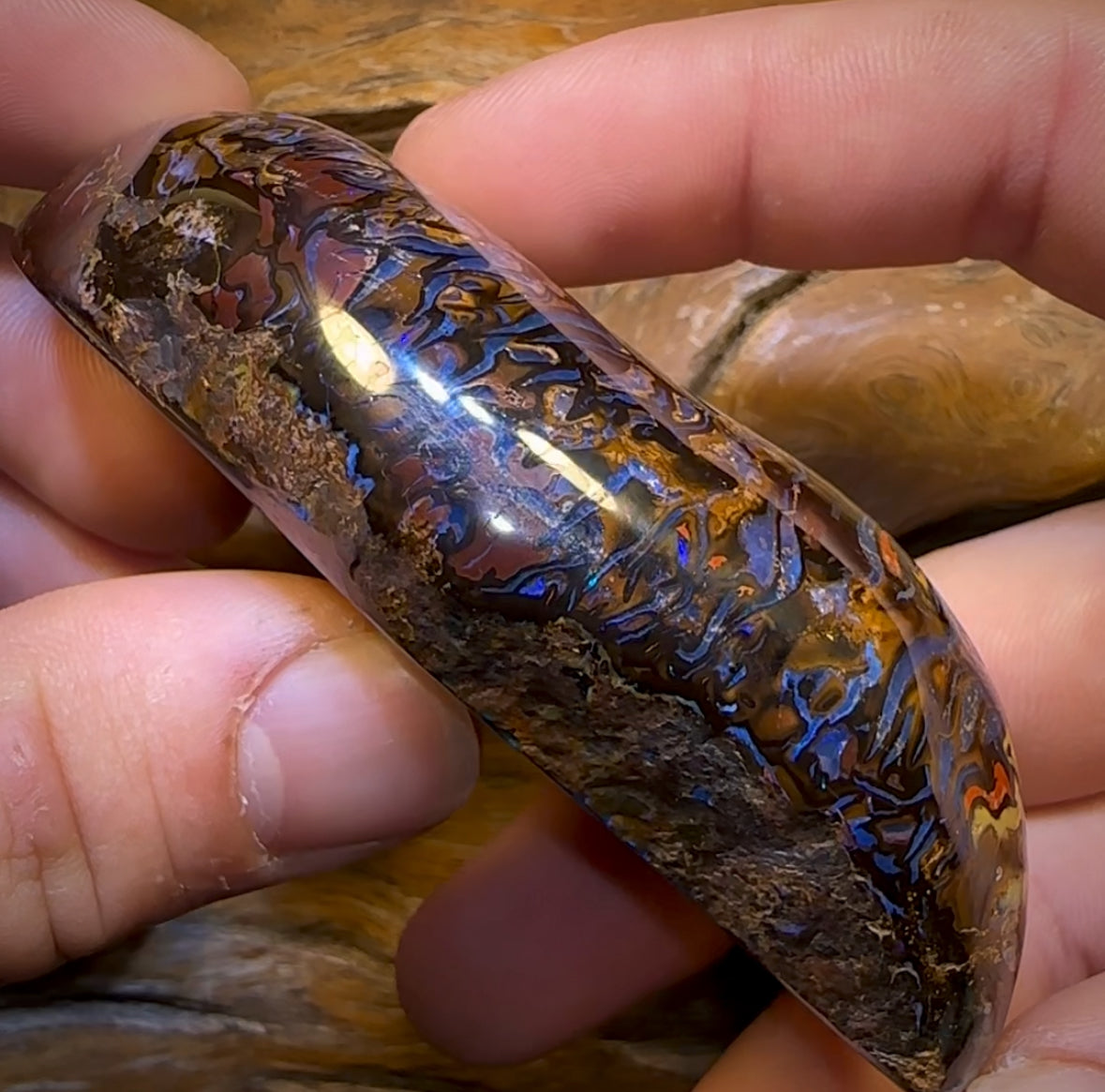 1157cts - Polished Tribal Yowah Nut Opal Specimen. Heritage Collection